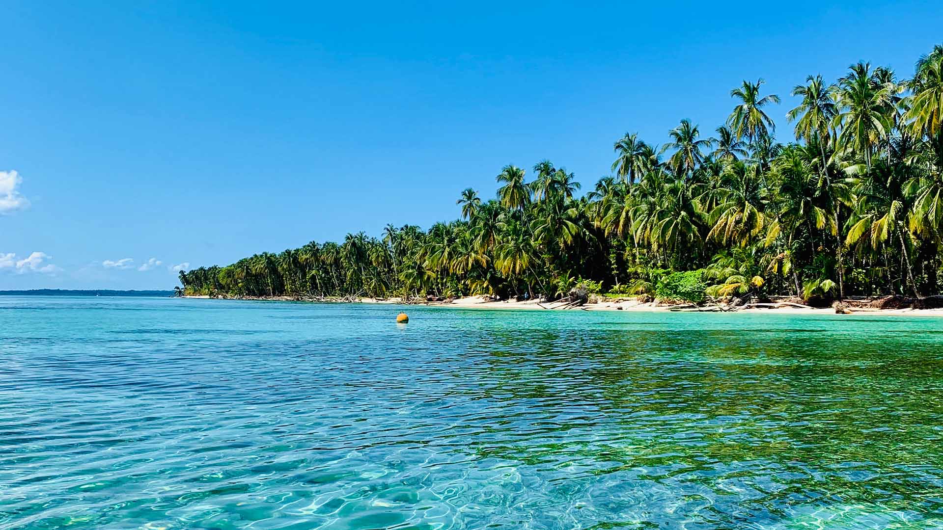 bocas del toro