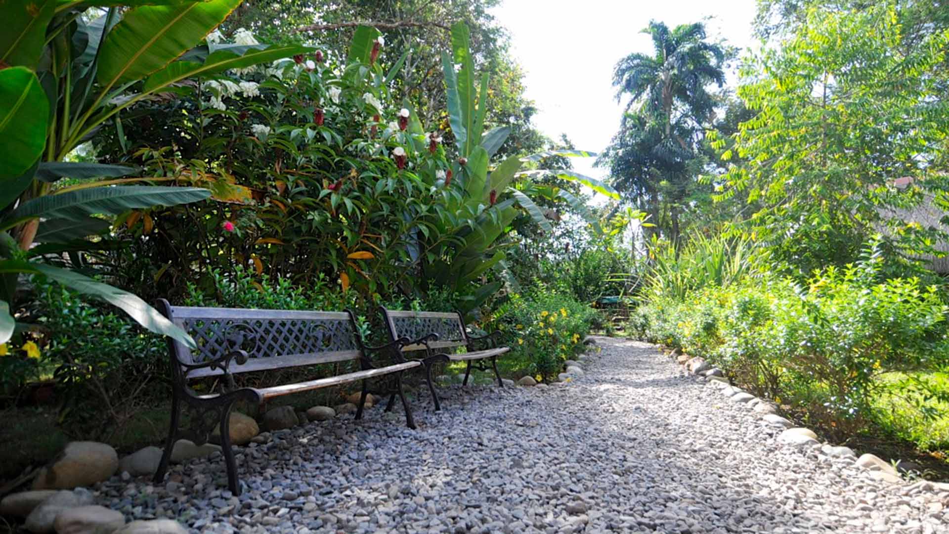 discover-garden